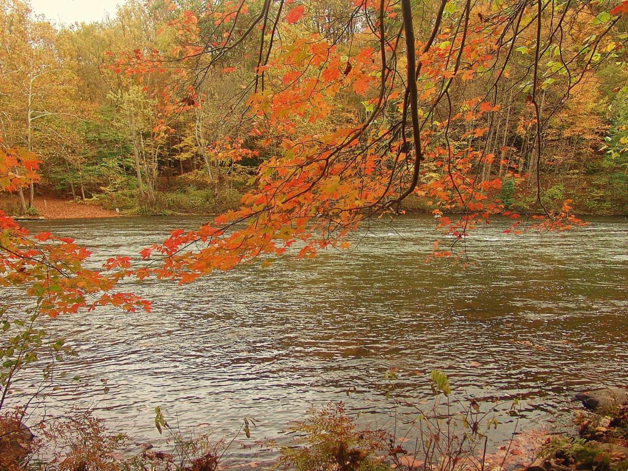 فيلا Paddler'S Lane Retreat Confluence المظهر الخارجي الصورة
