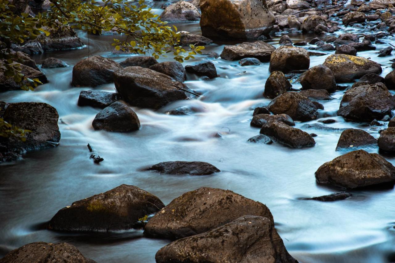 فيلا Paddler'S Lane Retreat Confluence المظهر الخارجي الصورة